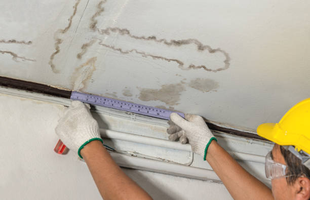 Reliable Water Damage Repair contractor in Greensboro, IN by Hirex Water Damage
